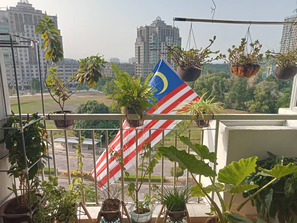 A Fish in Water: Finding Malaysia’s Soul on a Plastic Stool